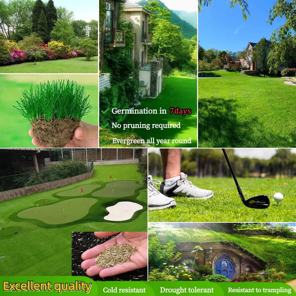 /69da79cd08064e000abd31fb/2026/04/16/product-img-69e11e11373c02bd69cc08c6.png